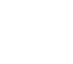 PALETTES SERVICES